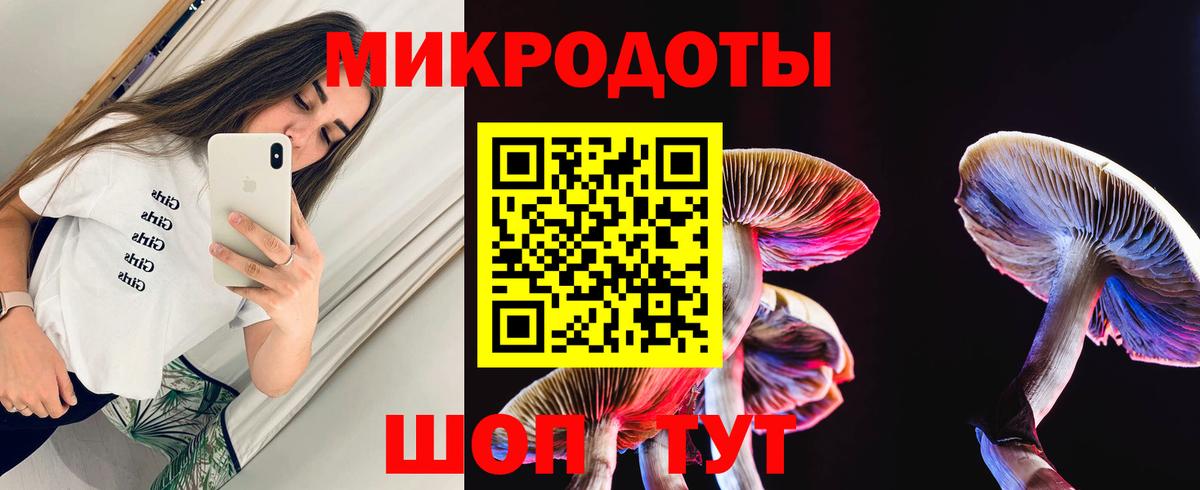Псилоцибиновые грибы мицелий Отрадный