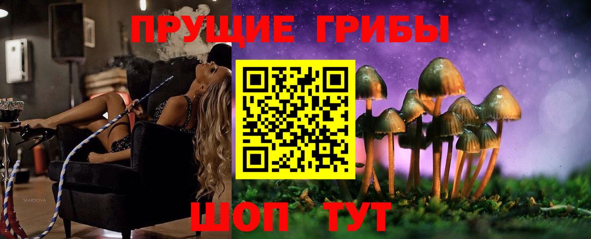 Отрадный  Псилоцибиновые грибы прущие грибы  Вход с VPN 